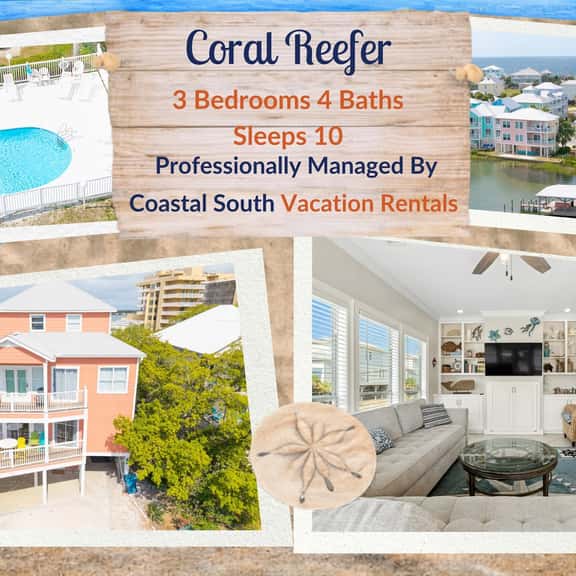 Coral Reefer - Image 1