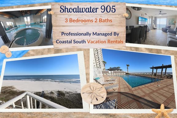 Shoalwater 905 - Image 1